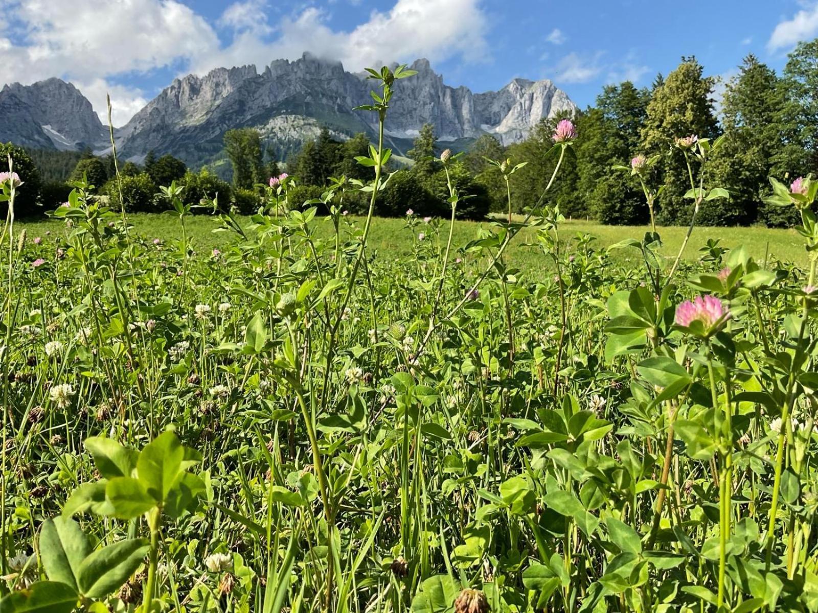 Chalet Belle Kitz By Belle Stay Kitzbühel Eksteriør bilde